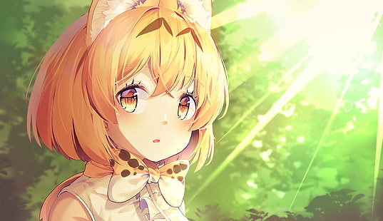 Anime, Kemono Friends, Katzenmädchen, Serval (Kemono Friends), Sonnenlicht, HD-Hintergrundbild HD wallpaper