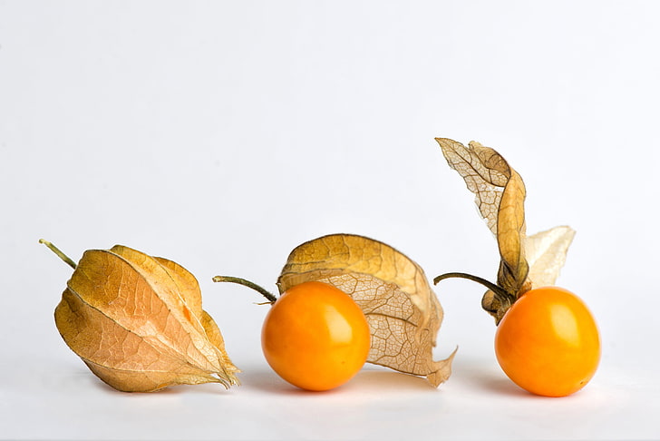 التوت ، البذور ، الفاكهة ، خلفية بيضاء ، البرتقال ، فيزاليس، خلفية HD