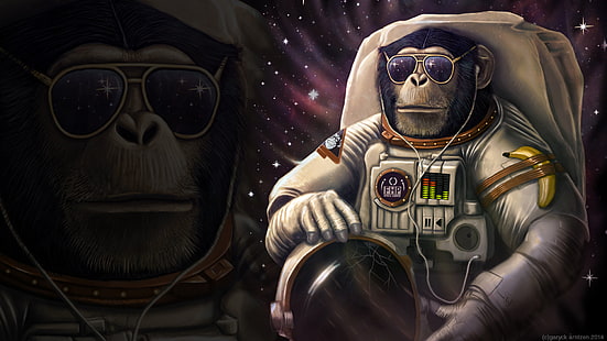 космонавт, банан, обезьяна, солнцезащитные очки, wtf, HD обои HD wallpaper