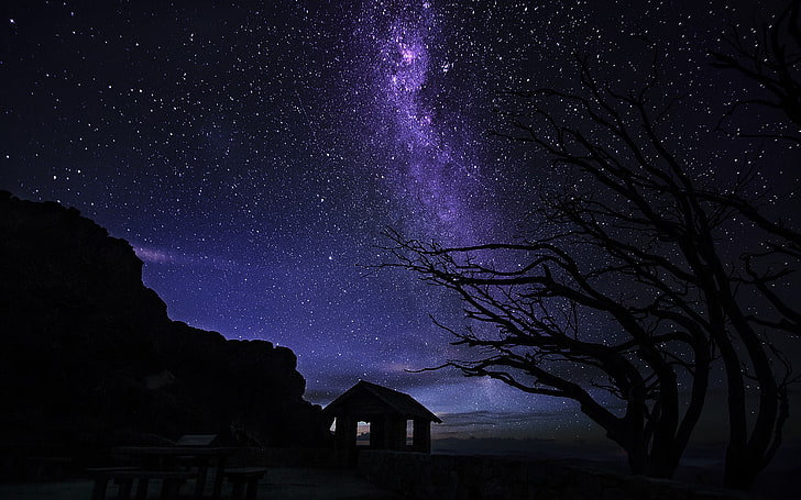 Vía Láctea, luces, naturaleza, árboles, noche, estrellas, cabina, silueta, Vía Láctea, acantilado, roca, Fondo de pantalla HD