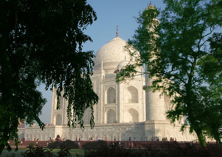 Taj Mahal Through Trees., Árvores, mármore, agra, luz do sol, Índia, taj mahal, animais, HD papel de parede