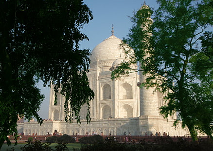 Taj Mahal à travers les arbres., Arbres, marbre, agra, soleil, Inde, taj mahal, animaux, Fond d'écran HD HD wallpaper