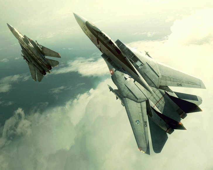 zwei graue Kampfflugzeug Tapete, Ace Combat, Grumman F-14 Tomcat, HD-Hintergrundbild