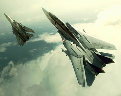 due sfondi di aerei da caccia grigi, Ace Combat, Grumman F-14 Tomcat, Sfondo HD HD wallpaper