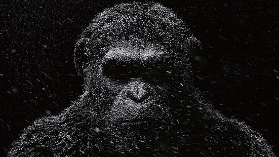 илюстрация на горила, маймуна, тъмно, Планета на маймуните, Зората на планетата на маймуните, HD тапет HD wallpaper