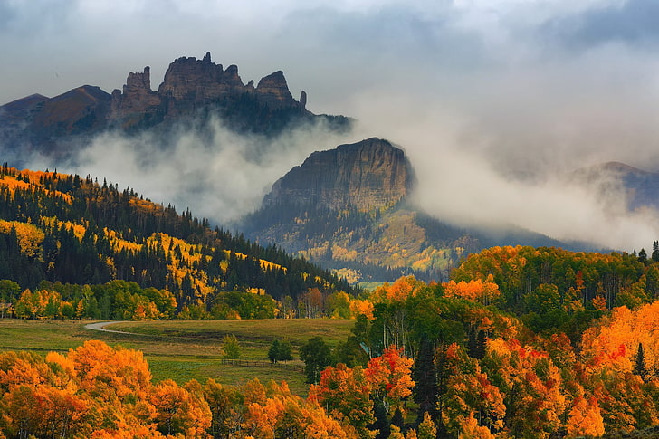 зелени дървета, мъглива планина и гора, природа, пейзаж, планини, дървета, гора, САЩ, Колорадо, поле, падане, мъгла, облаци, HD тапет