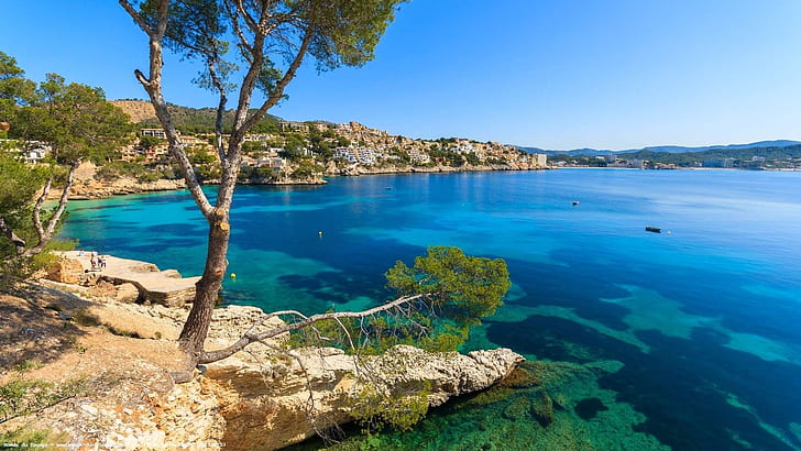 Palma, Menorca, tree, blue sea, coast, houses, Spain, Palma, Menorca, Tree, Blue, Sea, Coast, Houses, Spain, HD wallpaper