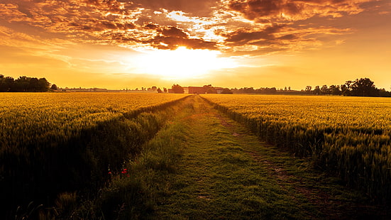 оранжевое небо, оранжевый закат, поле, сельская местность, урожай, поле урожая, равнина, вечер, сельское хозяйство, сельская местность, горизонт, HD обои HD wallpaper