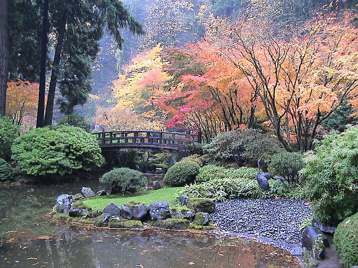 خريف حديقة يابانية بألوان القيقب ، حدائق ، طبيعة ، صخور أخرى ، أشجار ، ماء ، HD ، طبيعة ، أشجار ، ماء ، صخور ، يابانية ، شجيرات ، حدائق ، ألوان الخريف، خلفية HD