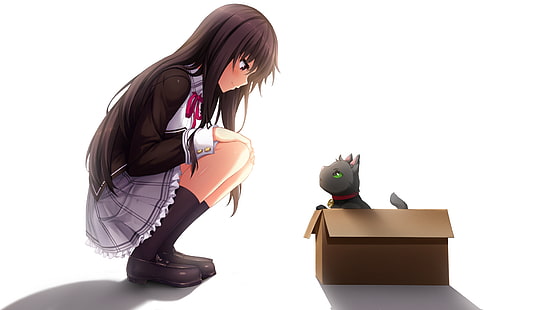 Michi Kuroki, Nora zu Oujo zu Noraneko Heart, Nora Handa, Anime, Anime Girls, HD-Hintergrundbild HD wallpaper