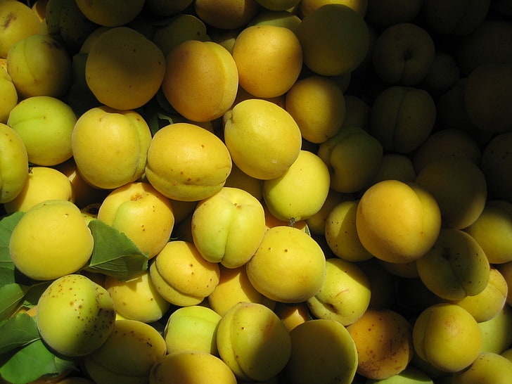 hög med gröna gula frukter, aprikoser, frukt, många, inte mogna, HD tapet