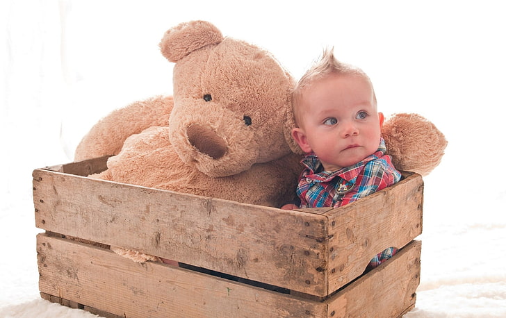 brown wooden crate, boy, child, toy, teddy bear, box, HD wallpaper