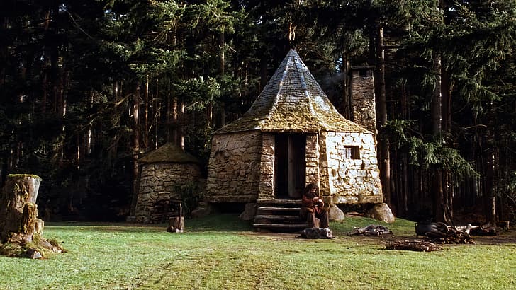 Harry Potter and the Sorcerer's Stone ภาพนิ่งภาพยนตร์ ภาพยนตร์ Rubeus Hagrid Robbie Coltrane กระท่อม หญ้า ต้นไม้ สุนัข ไม้, วอลล์เปเปอร์ HD