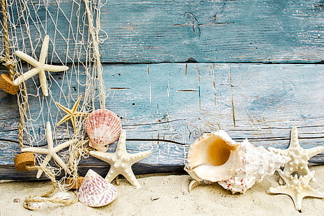 貝殻の装飾、砂、ビーチ、シェル、木材、海洋、貝殻、ヒトデ、 HDデスクトップの壁紙 HD wallpaper