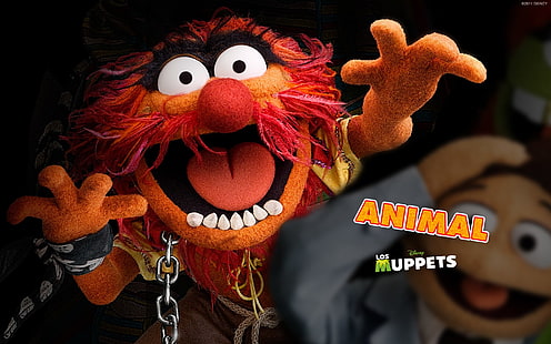 Program telewizyjny, The Muppet Show, The Muppets (TV Show), Tapety HD HD wallpaper