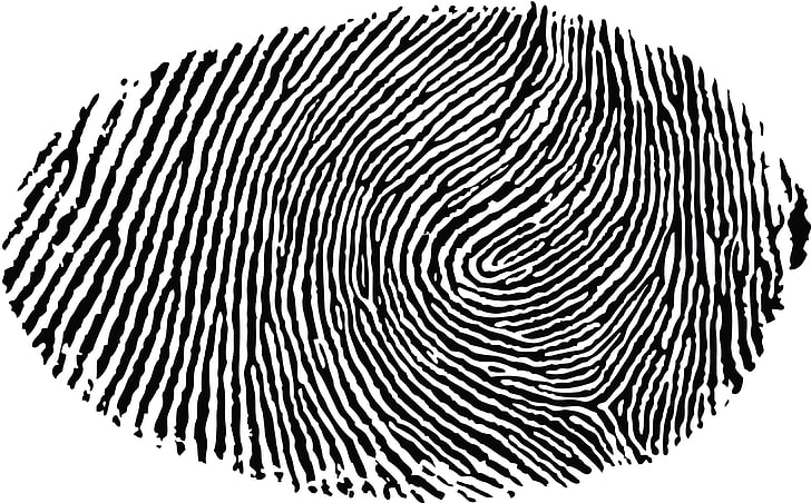 illustrazione dell'impronta digitale, minimalismo, sfondo bianco, impronte digitali, nero, bianco, astratto, monocromatico, Sfondo HD