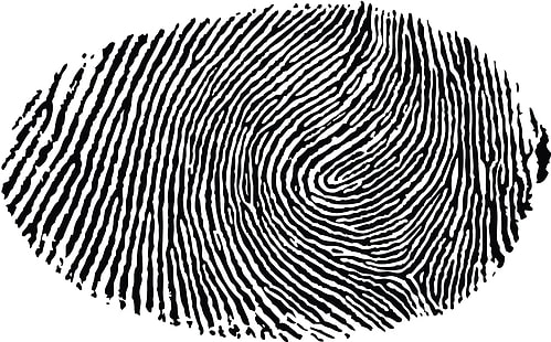 fingerprint illustration, minimalism, white background, fingerprints, black, white, abstract, monochrome, HD wallpaper HD wallpaper
