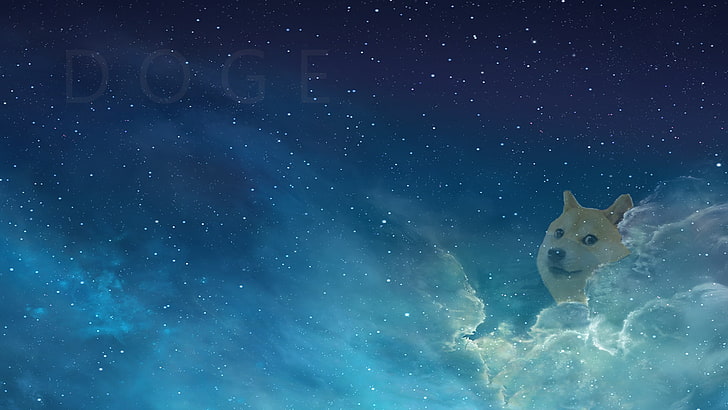 Doge, awan, Wallpaper HD