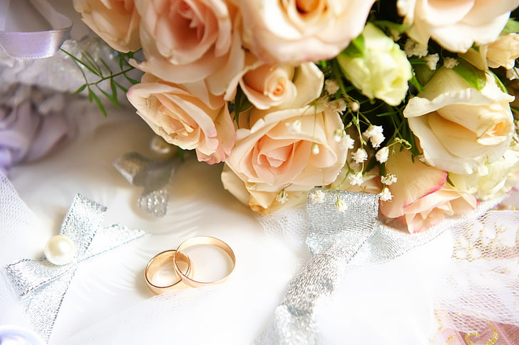 dois anéis dourados, flores, arco, anéis de noivado, fita, pérola, alianças, HD papel de parede