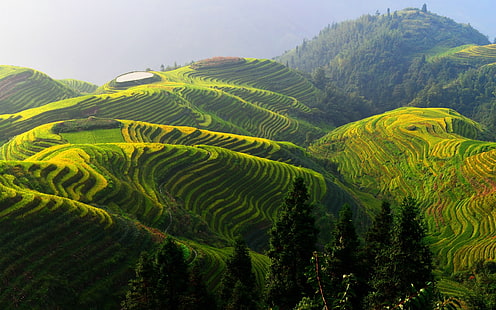 Tarasy ryżowe Longji, piękne krajobrazy w Chinach, Longji, ryż, tarasy, Chiny, piękne, wiejskie, Tapety HD HD wallpaper