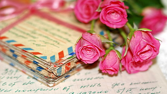 цветы, фотография, роза, письмо, бумага, HD обои HD wallpaper