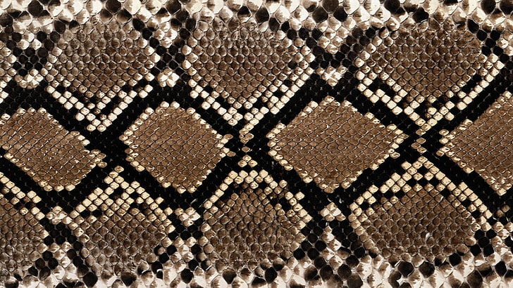 gray and brown snakeskin, snakeskin, texture, surface, stains, HD wallpaper