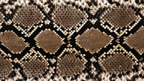 kulit ular abu-abu dan coklat, kulit ular, tekstur, permukaan, noda, Wallpaper HD HD wallpaper