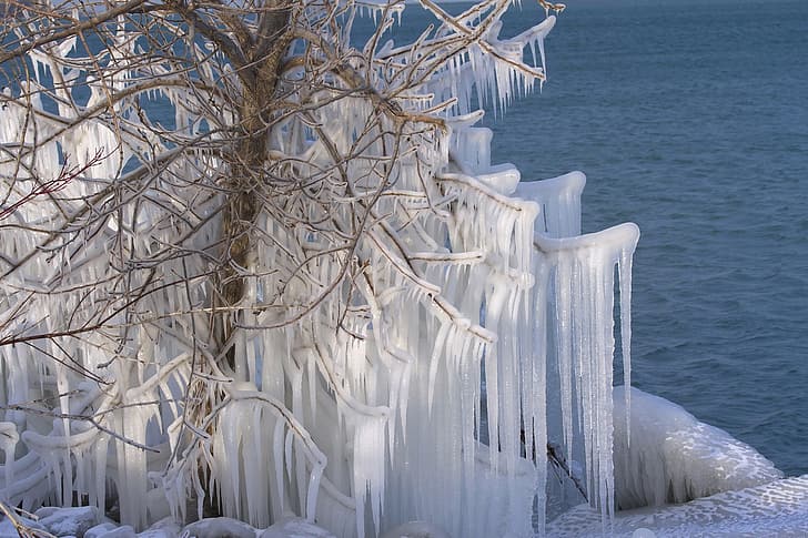 water, tree, ice, icicles, Canada, Lake Ontario, HD wallpaper
