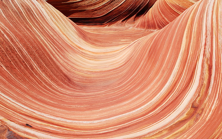 Buttes Coyote Utara, arizona, coklat, geologi, alam, fotografi, Wallpaper HD