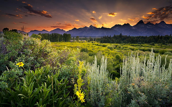 Красивые обои Пейзаж Hd Гранд тетон Национальный Парк U.s 2560 × 1600, HD обои