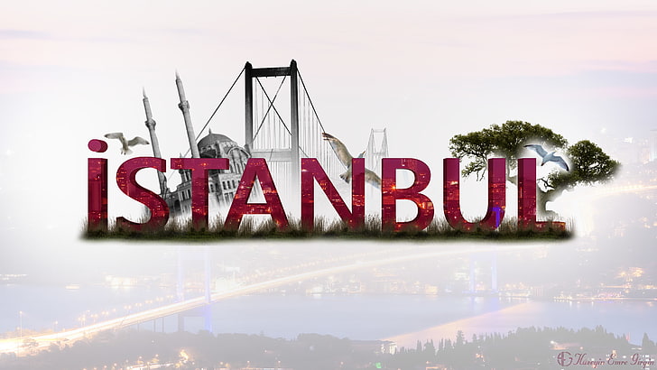 Istanbul, città, ponte, alberi, moschea, uccelli, Sfondo HD