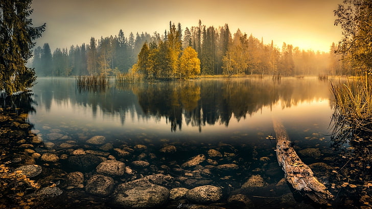 夜明けの秋の森の湖-自然の風景の壁紙、 HDデスクトップの壁紙