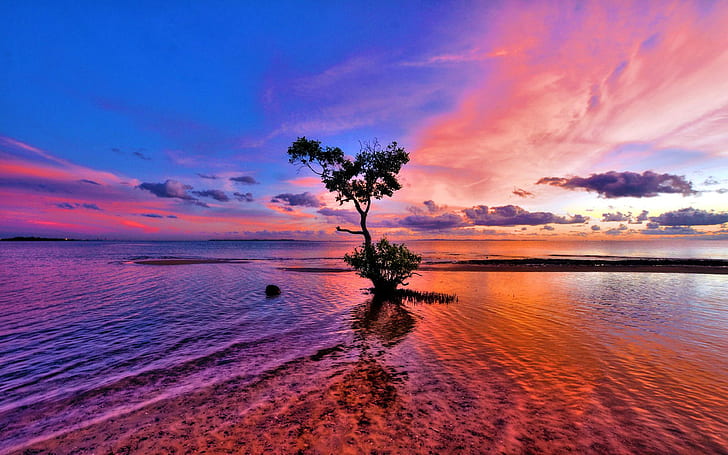 ทะเลมหาสมุทรต้นไม้พระอาทิตย์ตกสีแดงขอบฟ้าที่สวยงามเมฆสีฟ้าสะท้อนวอลล์เปเปอร์ Hd 3840 × 2400, วอลล์เปเปอร์ HD