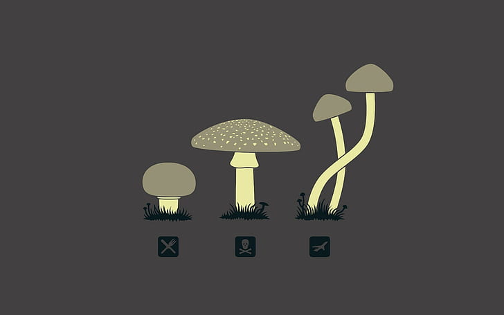 Mushroom, Minimalism, mushroom, minimalism, HD wallpaper
