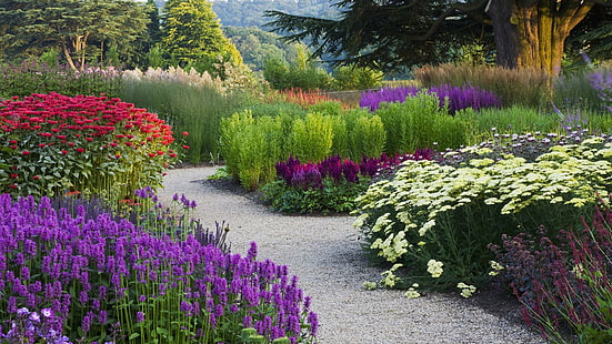 Jardín de flores, naturaleza, jardín, flores, colorido, naturaleza y paisajes., Fondo de pantalla HD HD wallpaper
