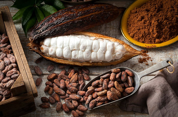 żywność, przyprawy, martwa natura, ziarna kakaowe, czekolada, Tapety HD
