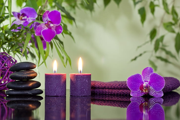 flowers, candles, orchids, Spa stones, HD wallpaper