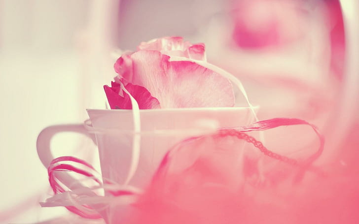 컵 머그잔 꽃잎 핑크, 꽃잎, 핑크, HD 배경 화면