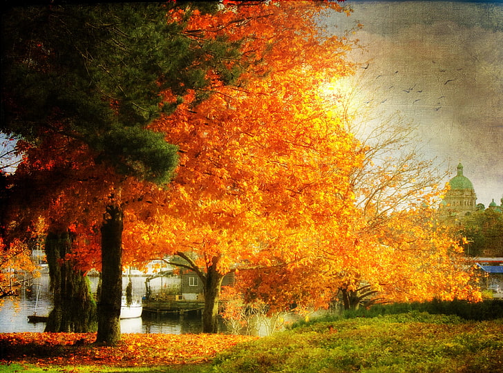A Dreamy Fall, landscape painting, Seasons, Autumn, Canada, Fall, Victoria, britishcolumbia, capital, songhees, HD wallpaper
