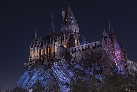 vista de ângulo baixo do castelo cinza iluminado no penhasco cinza, paisagem, castelo, Hogwarts, noite, luzes, árvores, escuro, magia, HD papel de parede HD wallpaper