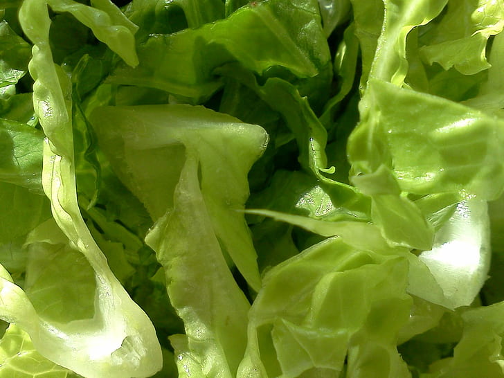 Lettuce Pray, crunchy, yellow, green, crispy, 3d and abstract, HD wallpaper