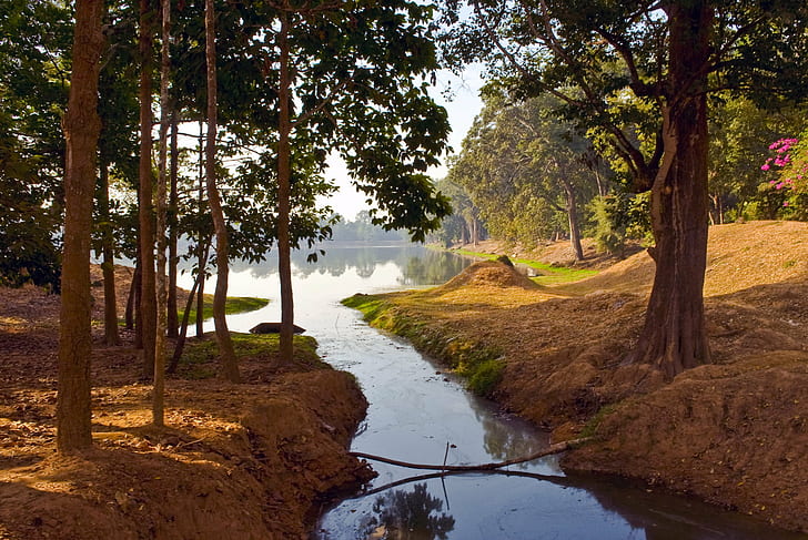 фотография на зелени листа дървета в гората през деня, Сием жъне, Камбоджа, Сием Жъне, Камбоджа, природа, дърво, гора, пейзаж, на открито, река, вода, живописни пейзажи, HD тапет