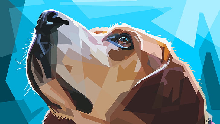 animals, digital art, dog, muzzles, illustration, polygon art, HD wallpaper