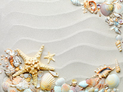 seashell lot, sand, beach, shell, starfish, seashells, HD wallpaper HD wallpaper