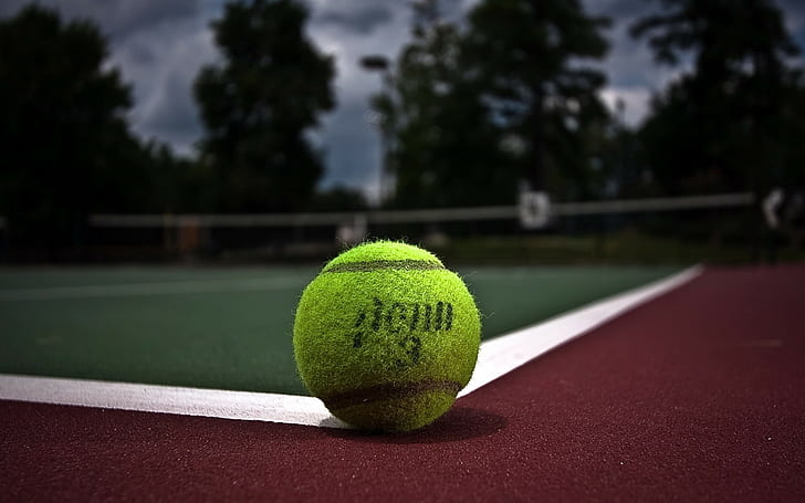 tennis balls, tennis, HD wallpaper