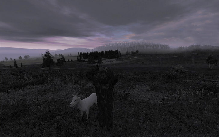 biała koza, DayZ, Arma 2, Arma II, Arma, kozy, krajobraz, horyzont, gry wideo, zrzut ekranu, Tapety HD