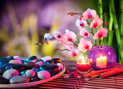 fiori di orchidea bianchi e rosa, fiori, pietre, candele, bambù, cannella, orchidea, spa, Sfondo HD HD wallpaper