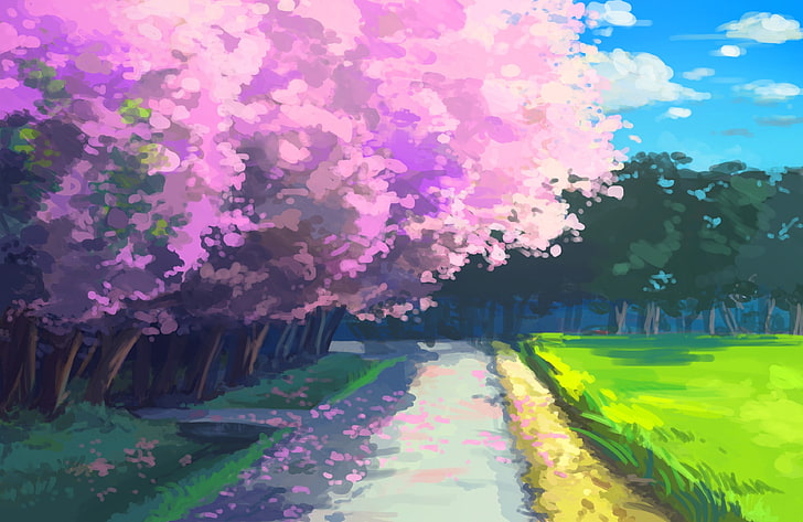cherry blossom graphics, anime, cherry blossom, HD wallpaper