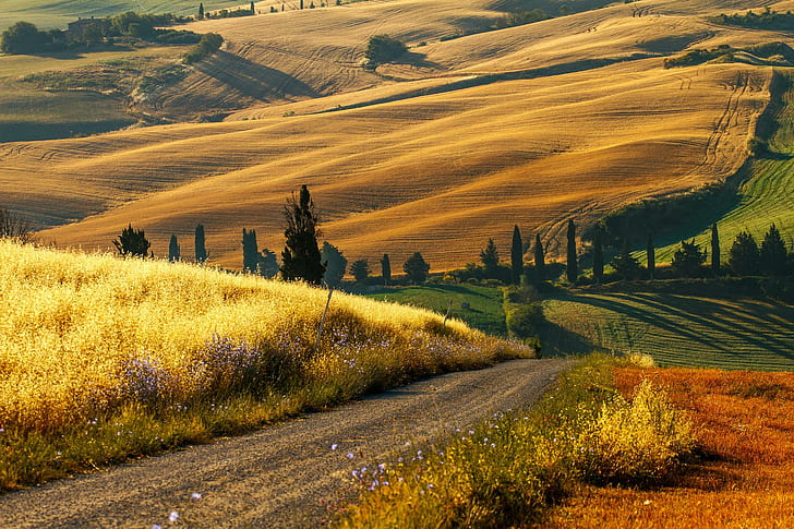 Incredible Italian Countryside Tuscany, crops, fields, tuscany, italy, winding, country, paradise, incredible, beautiful, countryside, road, rural, ital, HD wallpaper