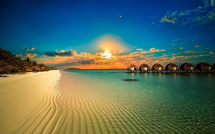 Blue Lagoon Resort Beach Palms Tropical Sunlight 3d And Abstract